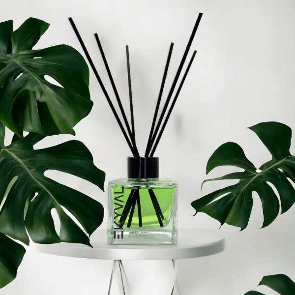 Melão - Ambientador Mikado | Casa | 100ml EKYVAL