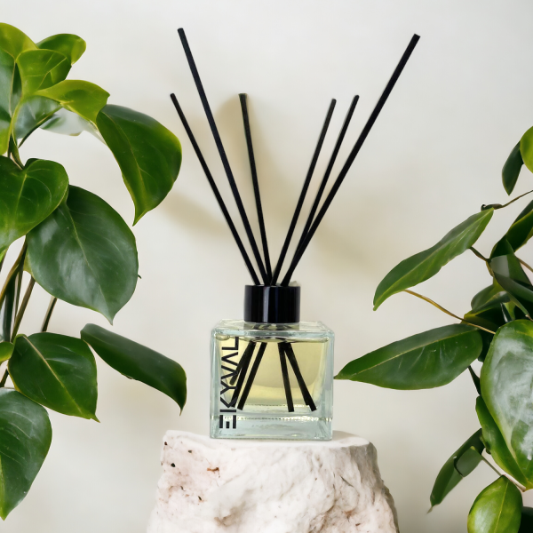 Canela - Ambientador Mikado | Casa | 100ml EKYVAL