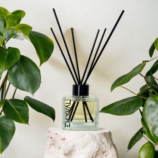 Canela - Ambientador Mikado | Casa | 100ml EKYVAL