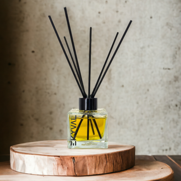 Canela Laranja - Ambientador Mikado | Casa | 100ml EKYVAL