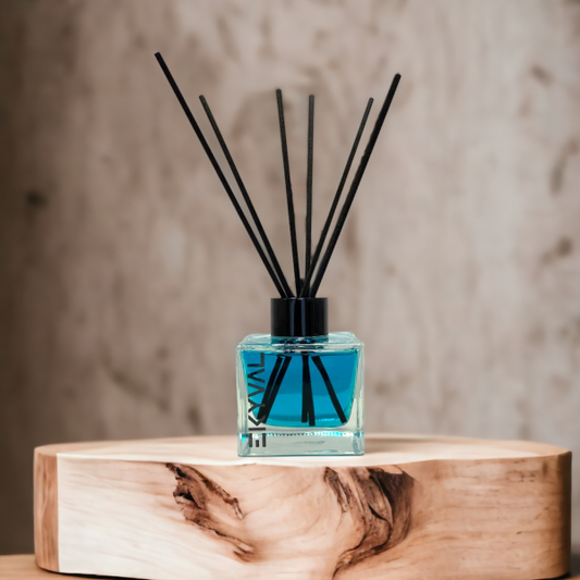 Oceano - Ambientador Mikado | Casa | 100ml EKYVAL