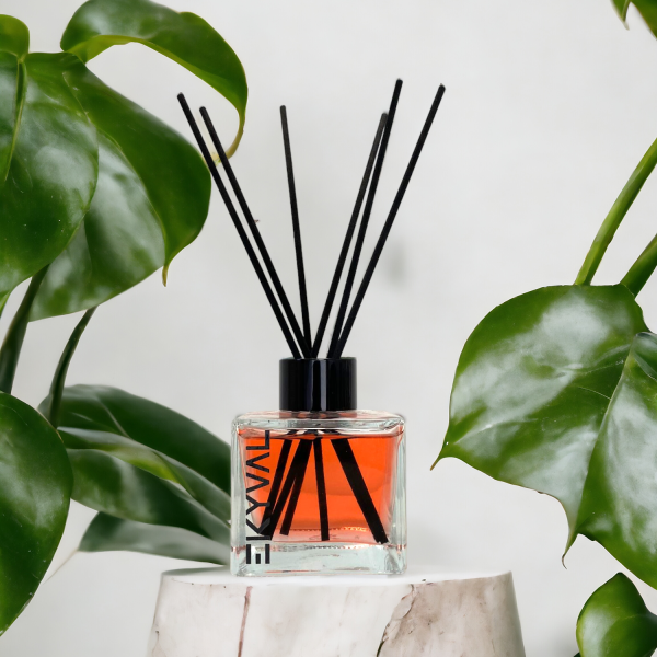 Frutos Silvestres - Ambientador Mikado | Casa | 100ml EKYVAL