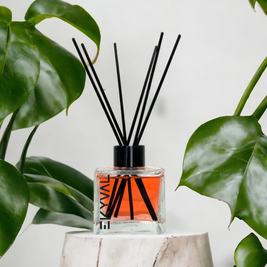 Frutos Silvestres - Ambientador Mikado | Casa | 100ml EKYVAL
