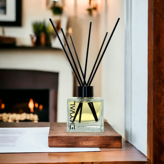 Manga - Ambientador Mikado | Casa | 100ml EKYVAL
