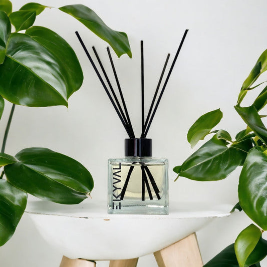 Repelente de Insetos - Ambientador Mikado | Casa | 100ml EKYVAL
